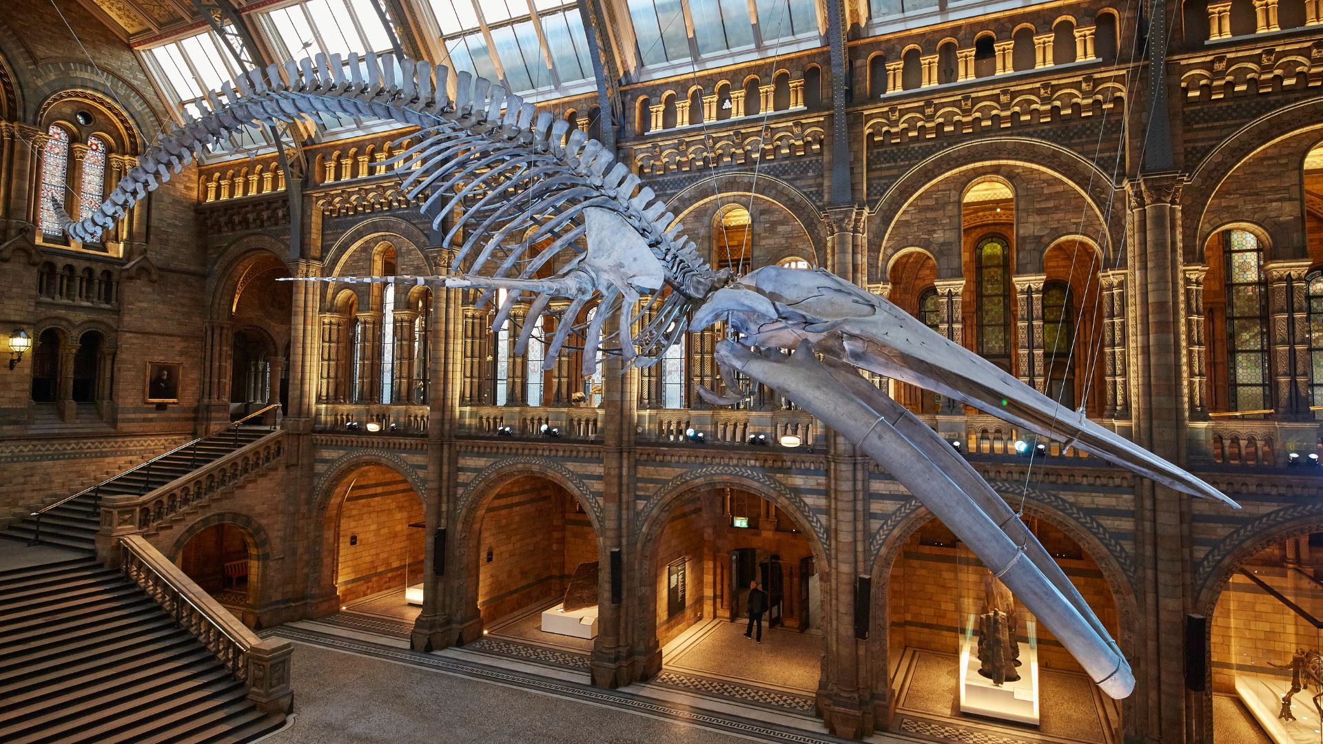 Natural History Museum